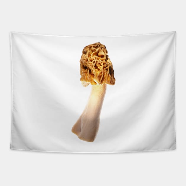 Early morel (Verpa bohemica) Tapestry by SDym Photography