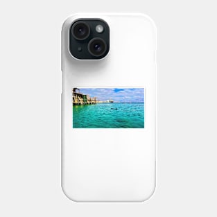 Dolphin Sighting Phone Case