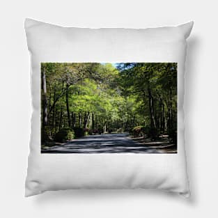 Scenic Forest Pillow