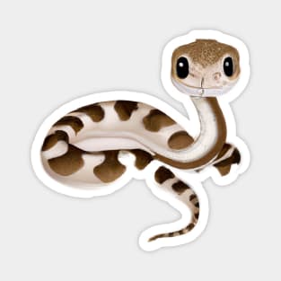 Cute Rattlesnake Drawing Magnet