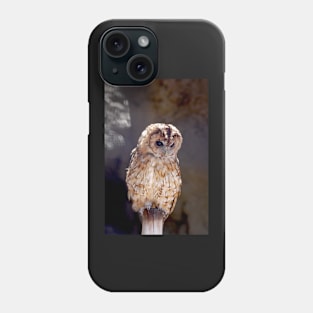 Tawny owl Phone Case