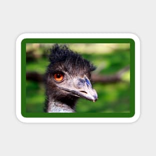 Curious Emu Magnet