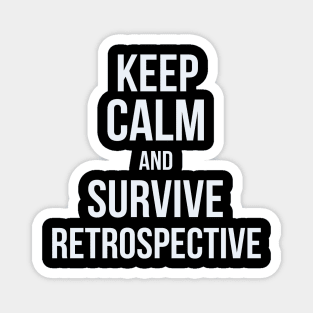 Developer Keep Calm and Survive Retrospective Magnet