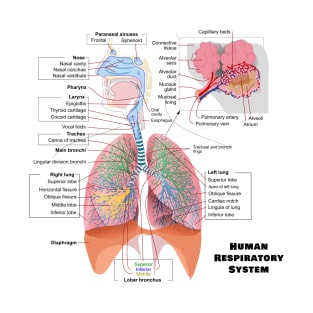 Human Respiratory System Diagram T-Shirt