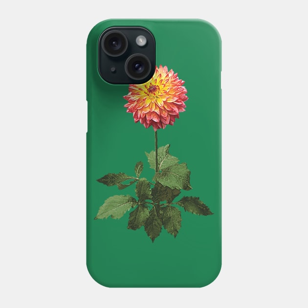 Dahlia Normandy Zachery Phone Case by SusanSavad