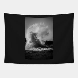 Crashing Waves Tapestry