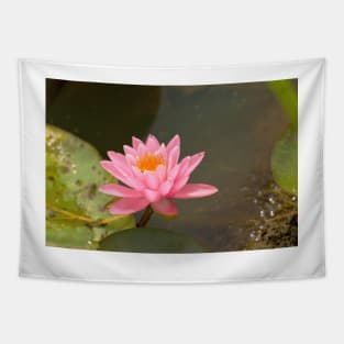 Pink water lily Tapestry