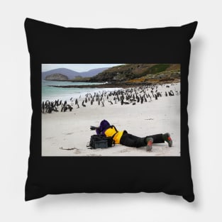 Magellanic Penguins Under Scrutiny Pillow
