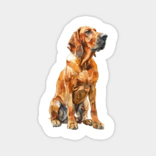 Bloodhound Magnet