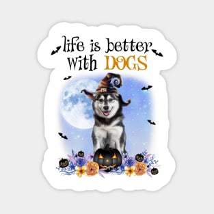 Husky Witch Hat Life Is Better With Dogs Halloween Magnet