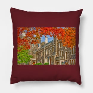 Princeton University Pillow