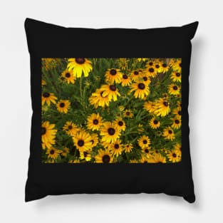 Ashburn, VA -- Spring Blooms I Pillow