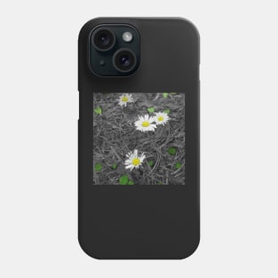 Daisies Phone Case