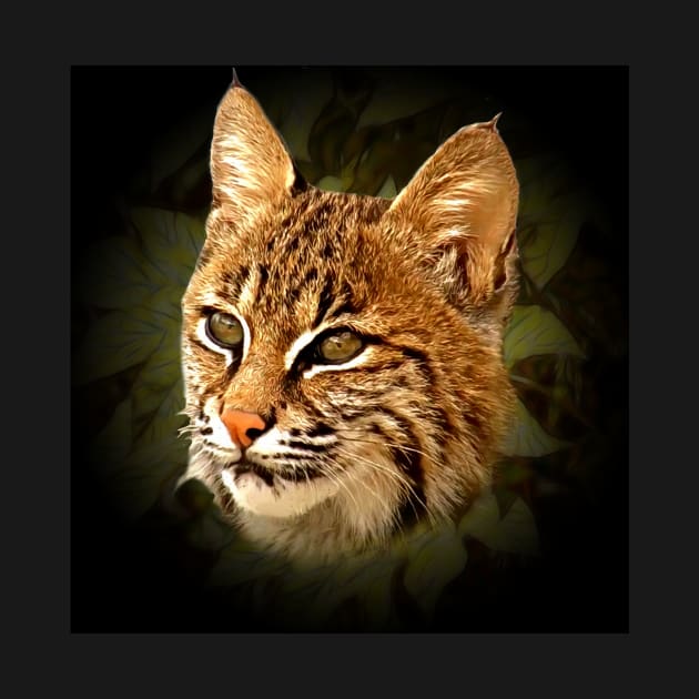 Bobcat by Guardi