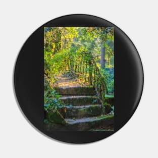 Garden Steps Pin