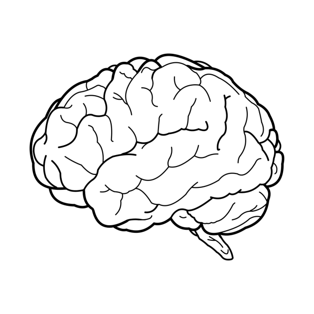 Brain Line Art small by Organoleptic