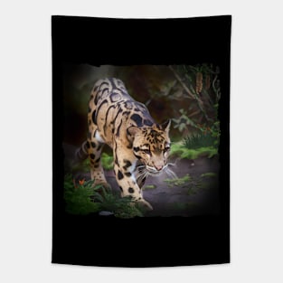 Asian Clouded Leopard Tapestry