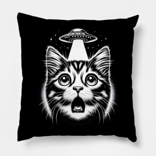 Cat Selfie With UFOs Pillow