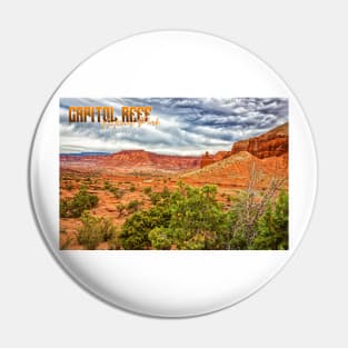 Capitol Reef National Park Pin