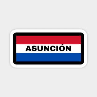 Asunción City in Paraguay Flag Colors Magnet