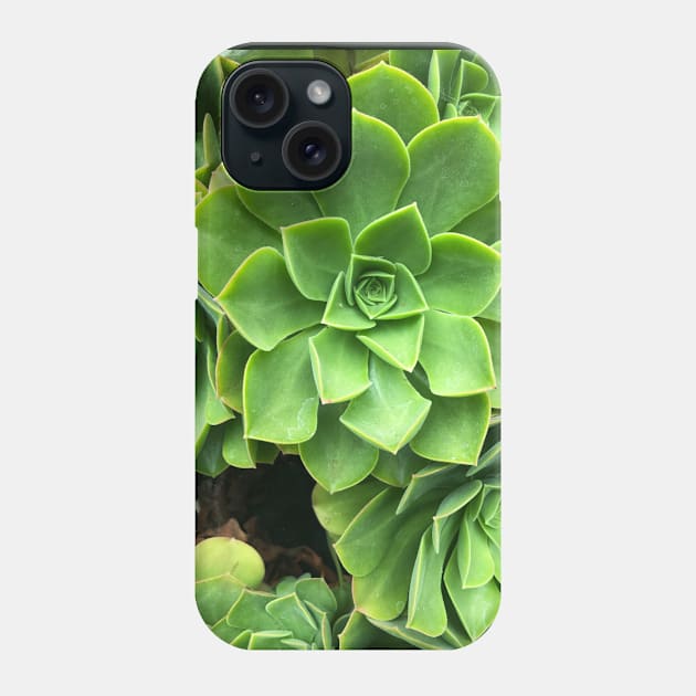 Flower-shaped succulent plant in Southern California Phone Case by offdutyplaces