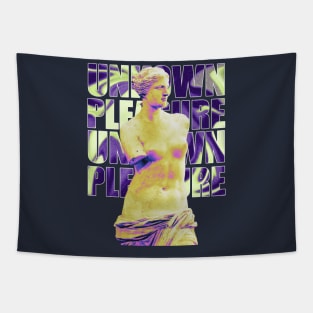 secret pleasure aphrodite Tapestry