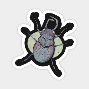 Coleoptera insect illustration 1 Magnet