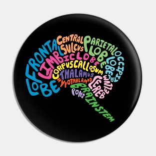 Brilliant Brain Anatomy Pin