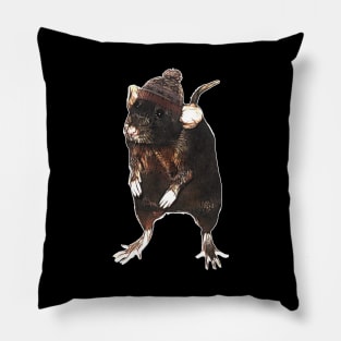 A Rat in a Hat Pillow