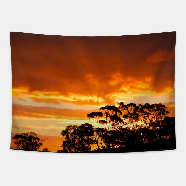 Tree Line Silhouette 2 Tapestry by jwwallace