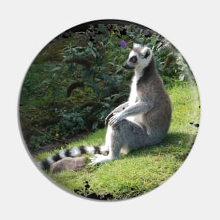 Lemur Pin