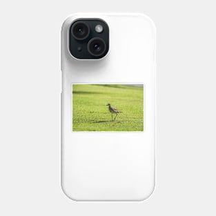 Sharp-tailed sandpiper Phone Case