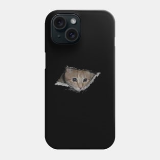 The same cat that looks out of a hole in the ceiling now looks out of a hole in anything! Phone Case