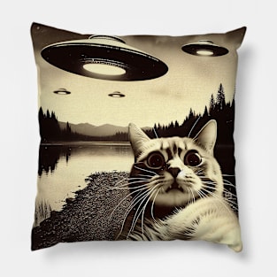 Cat selfie with UFO Pillow