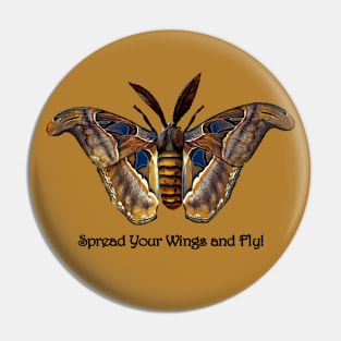 Spread Your Wings and Fly! Pin