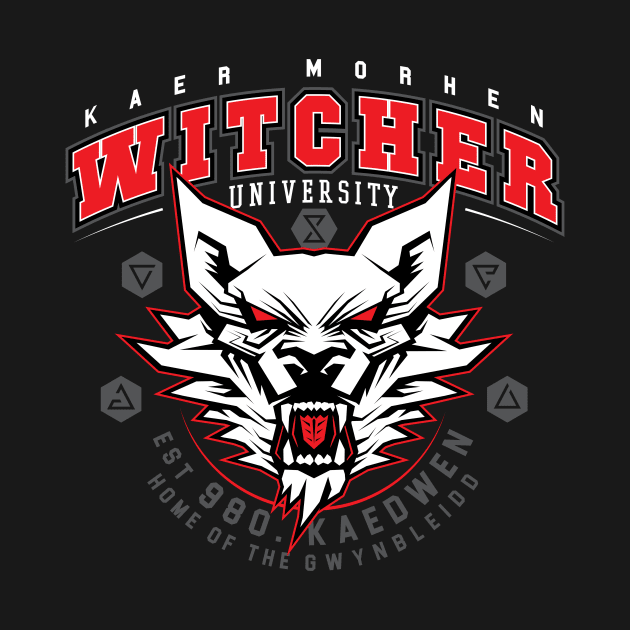 The Witcher University by Krobilad