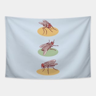 Fly pattern Tapestry