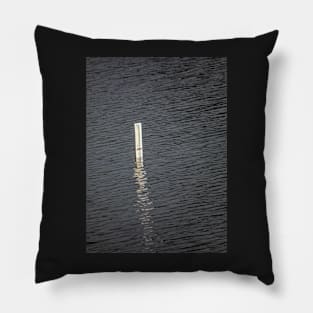 Depth Marker in a Lake Pillow
