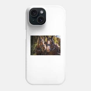 Horse Pride 1 Phone Case