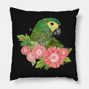 Red-bellied Macaw Pillow