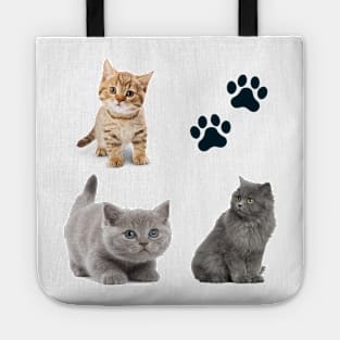 Awesome kitten cat love - cat lover pack Tote