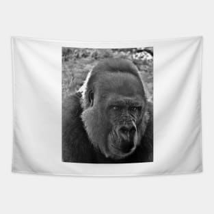 Gorilla Head Shot Tapestry