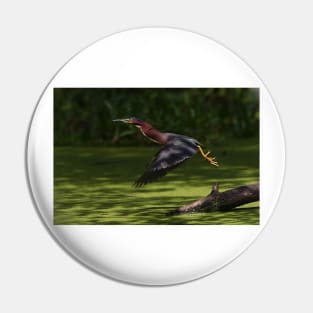 Green Heron Liftoff Pin