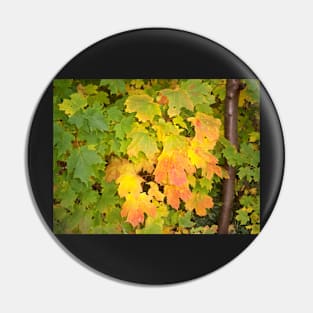 Autumn leaf Pin