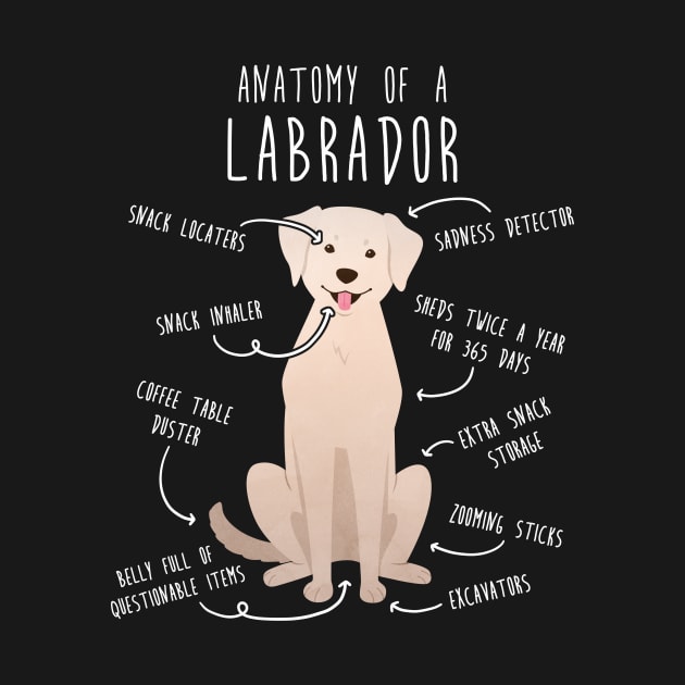 Yellow Labrador Retriever Dog Anatomy by Psitta