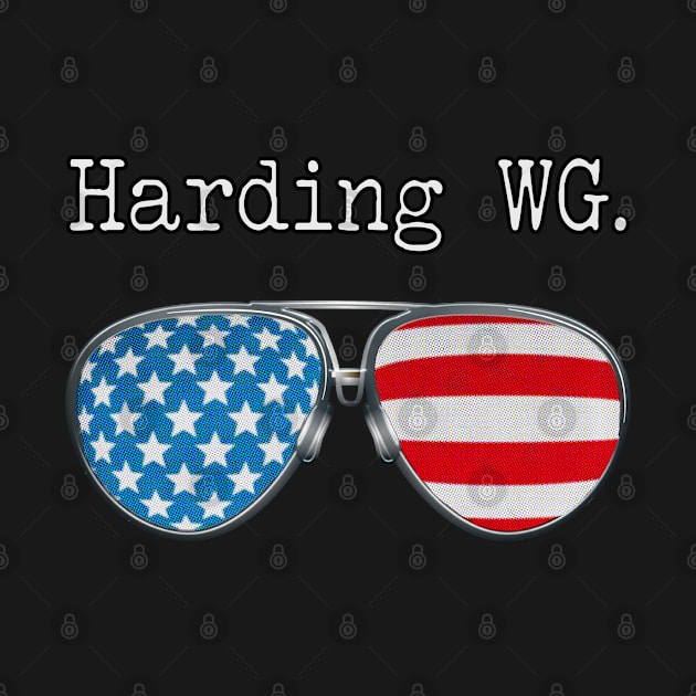 AMERICA PILOT GLASSES HARDING by SAMELVES