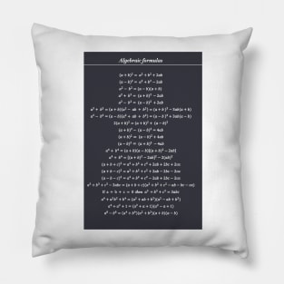 Algebraic Formulas Pillow