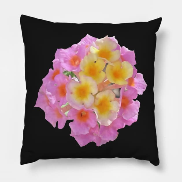 Pink and Yellow Lantana Camara Flower Pillow by Sparkleweather