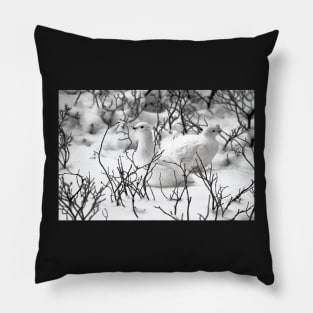 Ptarmigans in the Arctic Willow, Churchill, Canada Pillow