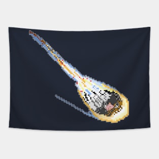 Asteroid Picnic Tapestry